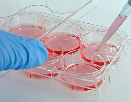 Cell Culture Accessories