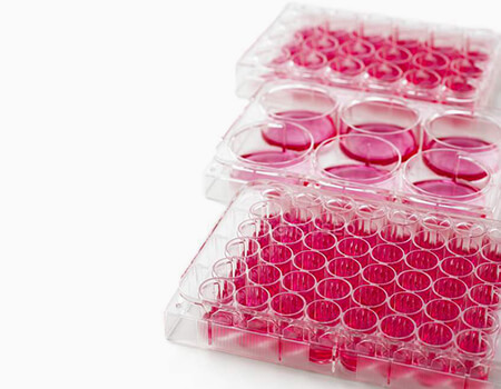 Multiple Well Cell Culture Plates