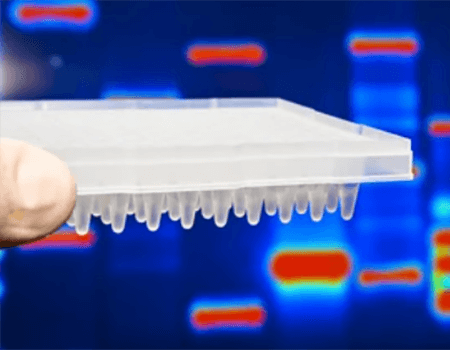 PCR Plates